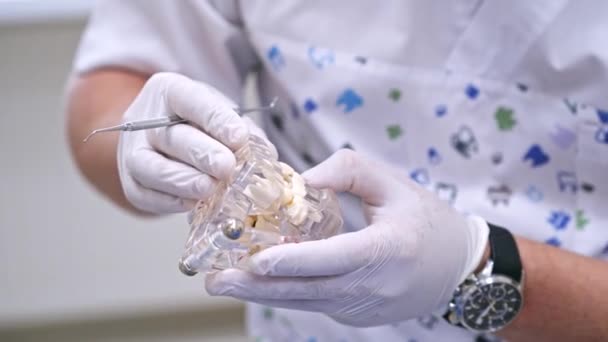 Dientes Artificiales Las Manos Del Doctor Dentista Guantes Estériles Sosteniendo — Vídeo de stock