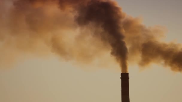 Znečištění Ovzduší Kouřem Dvou Továrních Komínů Koncept Ochrany Životního Prostředí — Stock video