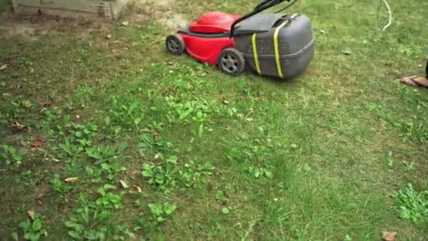 Process Cutting Green Grass Lawn Mower Homeowner Working Yard Electric — Stock Video