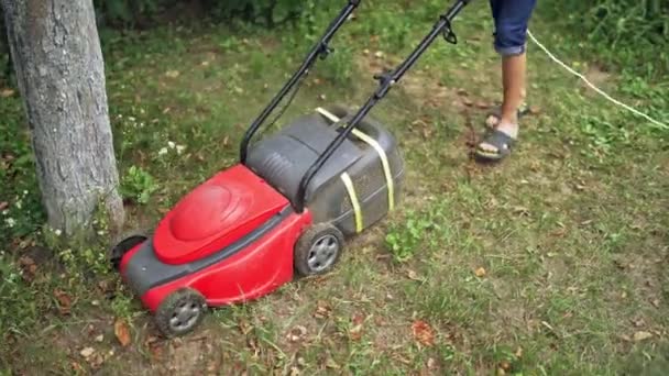 Elektrische Rasenmaschine Während Der Arbeit Arbeiter Mähen Sommer Gras Hinterhof — Stockvideo
