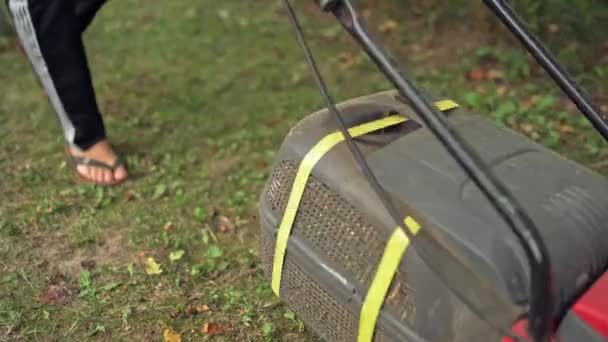 Arbeitsprozess Des Rasenmähers Freien Frau Mäht Gartenrasen Mit Elektrischem Rasenmäher — Stockvideo