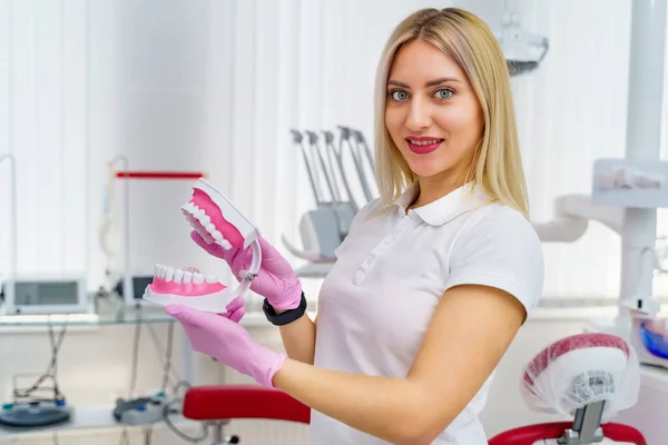 Modell Eines Künstlichen Kiefers Mit Zähnen Den Händen Zahnarzt Schrank — Stockfoto