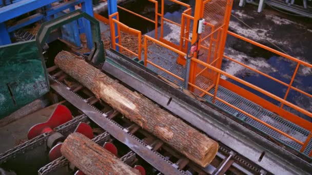 ソーミル 機械内の機械加工ログのプロセス 木材産業 機械のトップビュー 重工業の閉鎖 — ストック動画