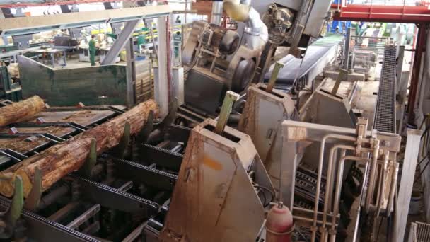 Przemysł Leśny Tartak Proces Obróbki Kłód Maszynie Ciężki Sprzęt Przemysłowy — Wideo stockowe