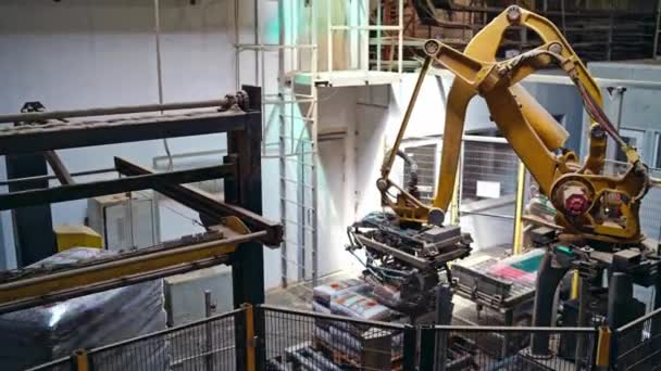 Mechanikus Robot Mesterséges Intelligenciával Zsákokat Szed Szállítószalagon Táskákat Rakok Sortól — Stock videók