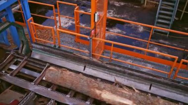 Bıçkıhane fabrikası. Ahşap işleme tesisi. Bir ağaç gövdesinin üst görüntüsü Elektrikli testere tezgahı açık havada.