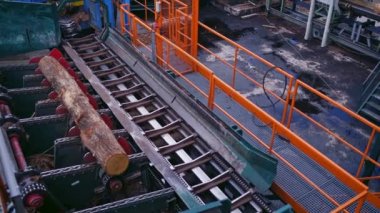 Elektrikli testere tezgahı. Ahşap kütük kereste fabrikasındaki bir konveyör hattında ilerliyor. Endüstriyel fabrikadaki bıçkıhane makinesindeki makine kayıtları..