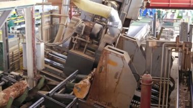 Modern marangozluk fabrikası. Bir bıçkıhanede robotik makinelerin işleyişi. Ağaç gövdeleriyle çalışan endüstriyel ekipmanlar.