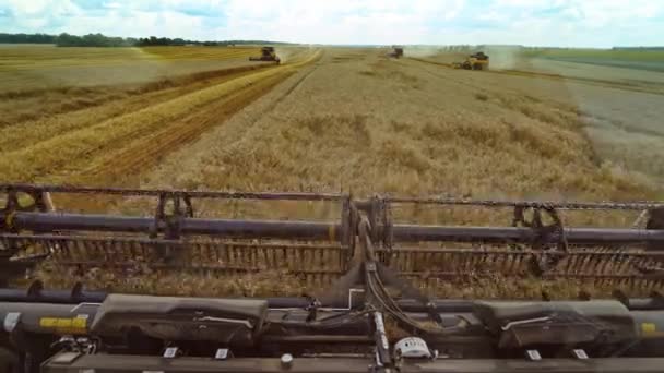 夏天收获小麦 收割者在田里干活 联合收割机农机在田间采摘金熟小麦 从司机的角度来看 — 图库视频影像
