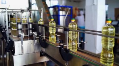 Modern bir fabrikada yağ şişelerinin hareketi. İçinde ayçiçeği yağı olan plastik şişeler konveyör hattında hareket ediyor. Zeytin yağı üretiminin otomatikleştirilmiş fabrika arka planı.