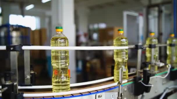 Ölflaschen Bewegen Sich Auf Dem Förderband Produktion Von Sonnenblumenöl Einer — Stockvideo