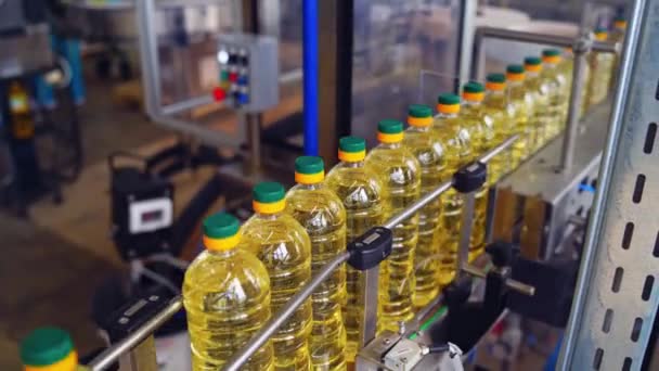 Výroba Plnění Slunečnicového Oleje Lahví Automatizovaná Továrna Výrobu Slunečnicového Oleje — Stock video