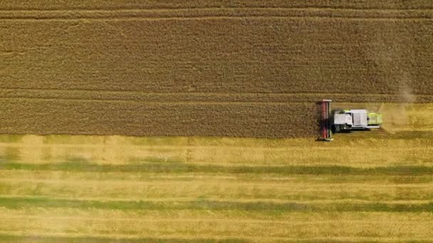 Mähdrescher Arbeiten Auf Dem Land Landmaschinen Auf Gelbem Hintergrund Luftaufnahme — Stockvideo