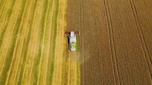 Saisonarbeit Auf Dem Feld Mähdrescher Schneidmesser Auf Dem Land Landwirtschaftliche — Stockvideo