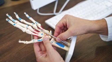 El iskeleti modeli. Doktor masanın arka planındaki bir modelde insan elinin çalışmalarını gösteriyor. Tıp kavramı.