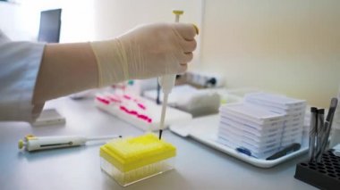 Tıbbi laboratuvar. Masada test tüpleriyle çalışan kadın araştırmacı. Bir laboratuvar uzmanının elleri kapalı alandaki örneklerle analiz yapıyor..