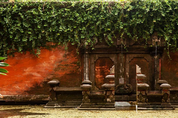 美丽的古色古香的喷泉在百合花的绿色植物上 — 图库照片