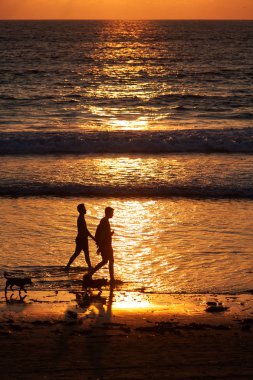 Okyanus günbatımında arka planda köpeği olan iki kişinin silueti.