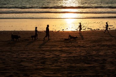 İnsanlar ve köpekler Bali adasında gün batımında