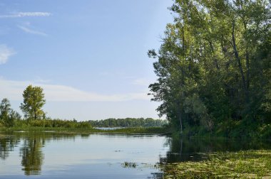Nehir manzara sahil su yansıması ile