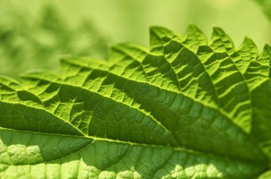 Levha yüzeyine güneş ışığı altında olduğunu