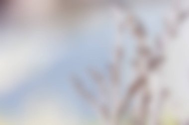 Pastel renklerde arka plan bulanık