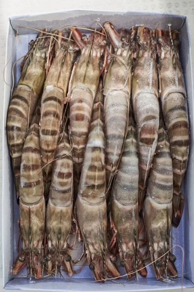 bir kutu içinde dondurulmuş karides