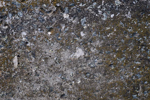 Konsistens av gamla cement vägg täckt med mossa — Stockfoto