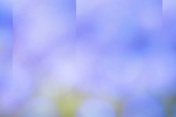 Bulanık arka plan daire bokeh hafif sirenevogo ve mavi renkler