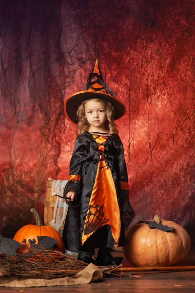 Glædelig Halloween! smuk lille pige i heks kostume med magasin - Stock-foto