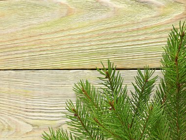 Noel ışık yeşil panoları arka plan. Doğal çam branc