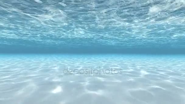 Plongée sous l'eau