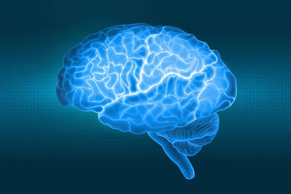 Cérebro Humano Uma Visão Lateral Nos Raios Partes Cérebro Ilustração — Fotografia de Stock