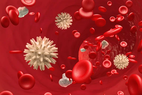 Vista Del Torrente Sanguíneo Desde Interior Arteria Venas Células Sanguíneas — Foto de Stock