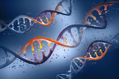DNA sarmalı. Genetik mühendisliği. DNA'ın yapısını incelenmesi. Modern tıbbi araştırma kök hücre. 3D çizimler