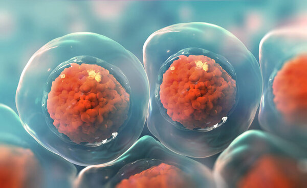 Cells under a microscope. Research of stem cells. Cellular Therapy. Cell division. 3d illustration on a light background
