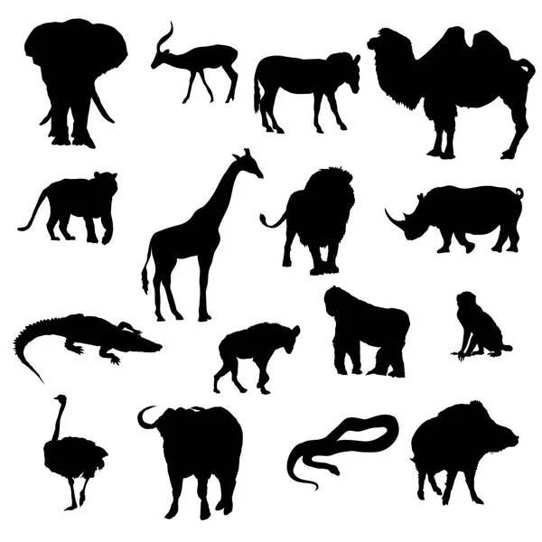 Silhouetten van dieren Safaris — Stockfoto