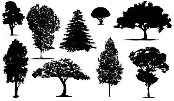 Silhouettes of trees Stock Picture