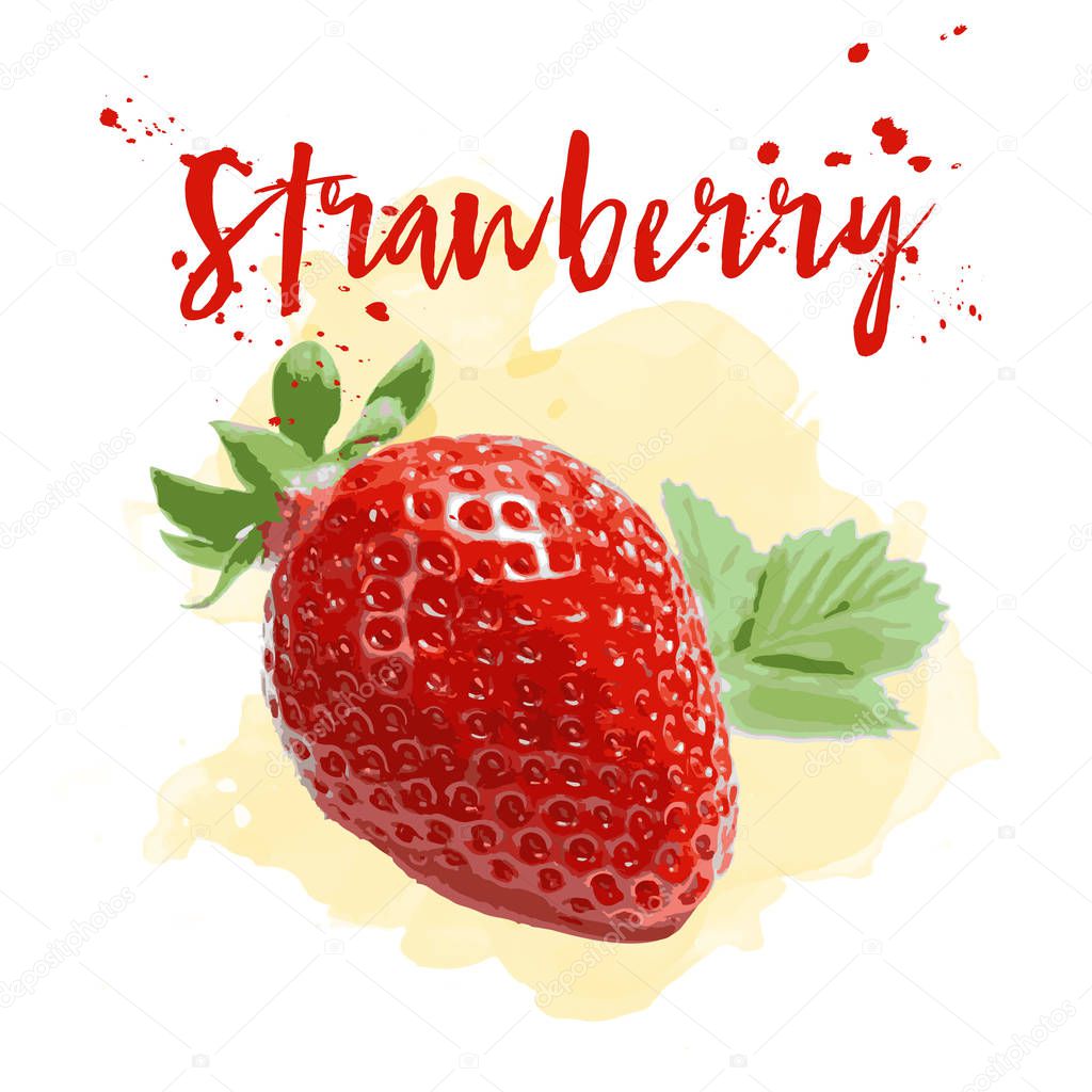 Strawberry drawn in watercolor. Vector Eps 10.