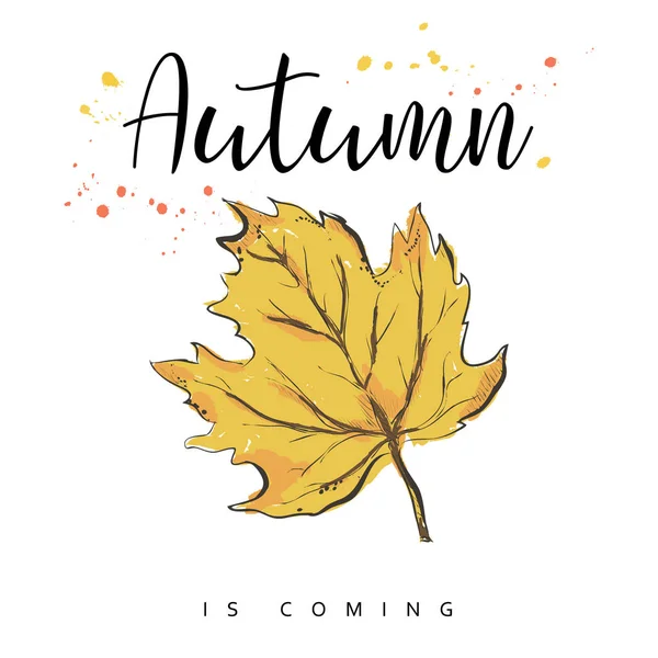 Autumn is coming. Autumn leaves. Hand drawn vector illustration. — Stock Vector