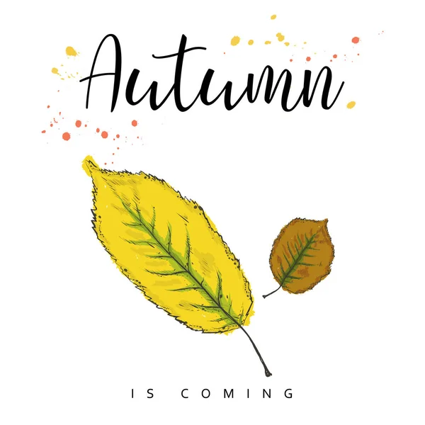 Наближається осінь. Осіннє листя. Рука намальована Векторні ілюстрації . — стоковий вектор