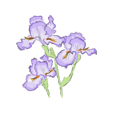  El çiçek çizmek. Beyaz bir arka plan üzerinde vektör çizim.