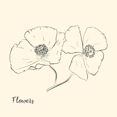  El çiçek çizmek. Vektör çizim.