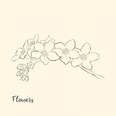  El çiçek çizmek. Vektör çizim.