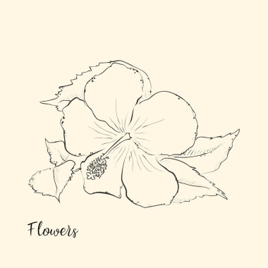  El çiçek çizmek. Vektör çizim.