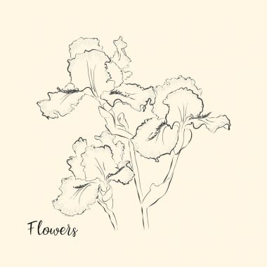  El çiçek çizmek. Vektör çizim.