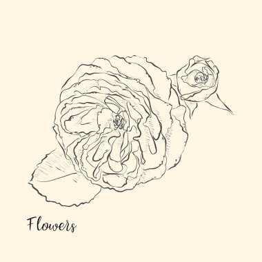  El çiçek çizmek. Vektör çizim.