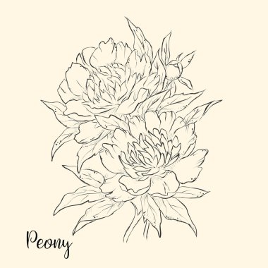  El çiçek çizmek. Vektör çizim.