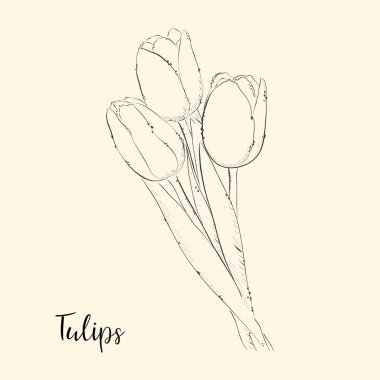  El çiçek çizmek. Vektör çizim.