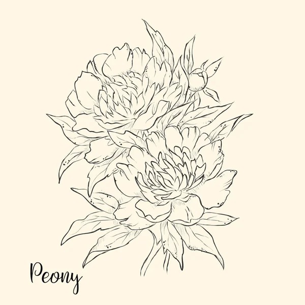  El çiçek çizmek. Vektör çizim.